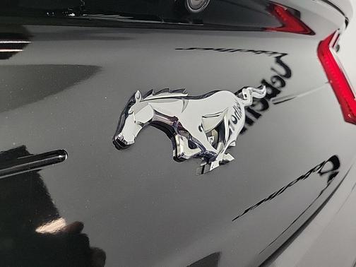 2021 Ford Mustang EcoBoost