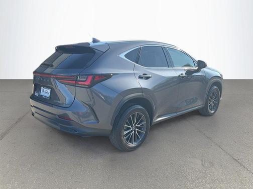 2024 Lexus NX 250 Premium
