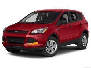 Ruby Red Tinted Clearcoat 2014 Ford Escape Titanium
