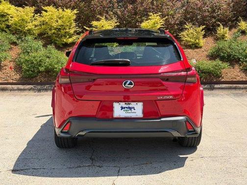 Red Line 2023 Lexus UX 250h F SPORT Handling