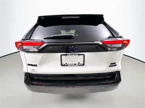 2019 Toyota RAV4 Hybrid SE