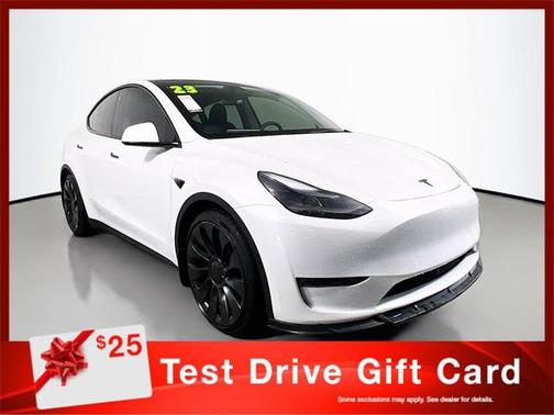 2023 Tesla Model Y Performance Dual Motor All-Wheel Drive