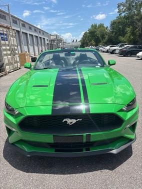 2019 Ford Mustang EcoBoost