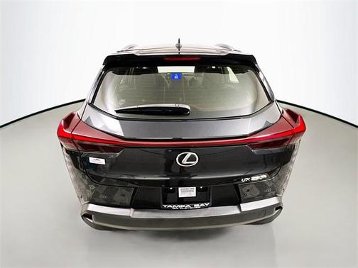2024 Lexus UX 250h Base
