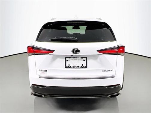 2019 Lexus NX 300 F Sport