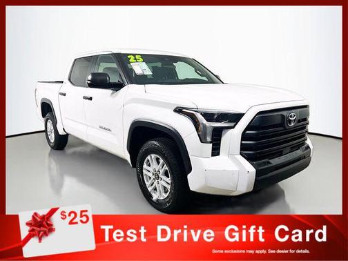 Ice Cap 2025 Toyota Tundra SR5
