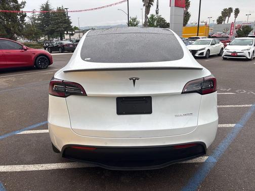 Pearl White Multi-Coat 2020 Tesla Model Y Performance Dual Motor All-Wheel Drive