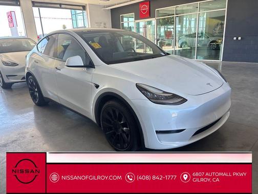 Pearl White Multi-Coat 2021 Tesla Model Y Long Range