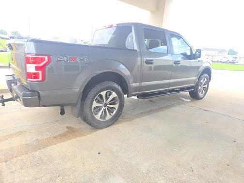 Magnetic 2019 Ford F-150 XL