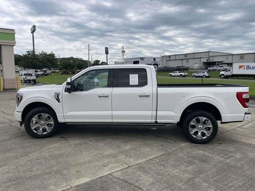 Star White 2023 Ford F-150 Platinum