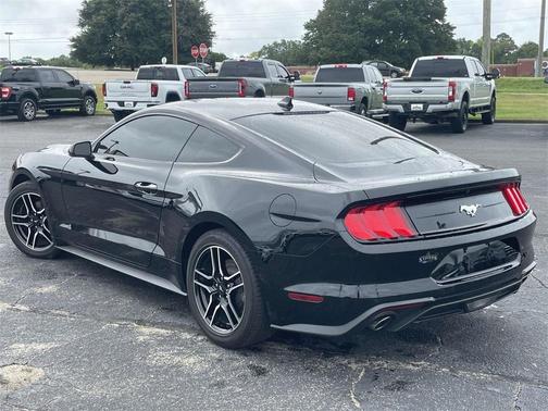 2023 Ford Mustang EcoBoost