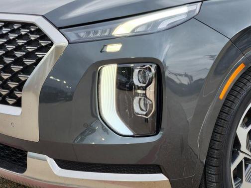 Rainforest 2022 Hyundai PALISADE Calligraphy