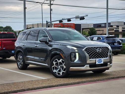 Rainforest 2022 Hyundai PALISADE Calligraphy