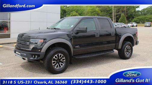 Tuxedo Black Metallic 2013 Ford F-150 SVT Raptor