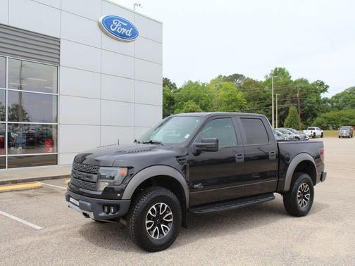 Tuxedo Black Metallic 2013 Ford F-150 SVT Raptor