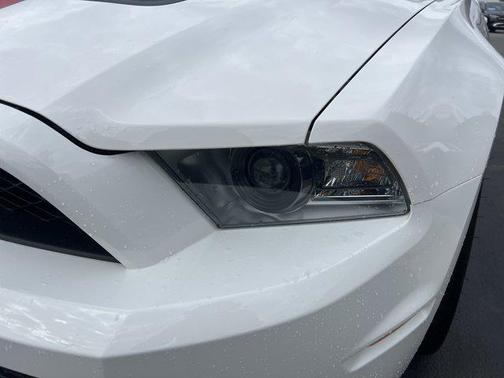 2011 Ford Shelby GT500 Base