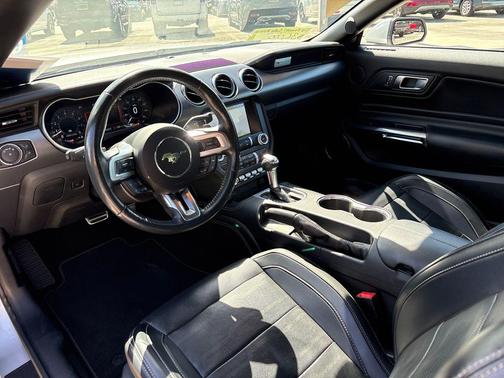Ingot Silver Metallic 2019 Ford Mustang GT Premium