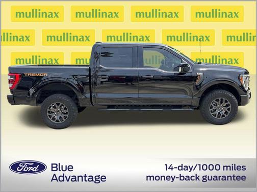Agate Black Metallic 2023 Ford F-150 Tremor