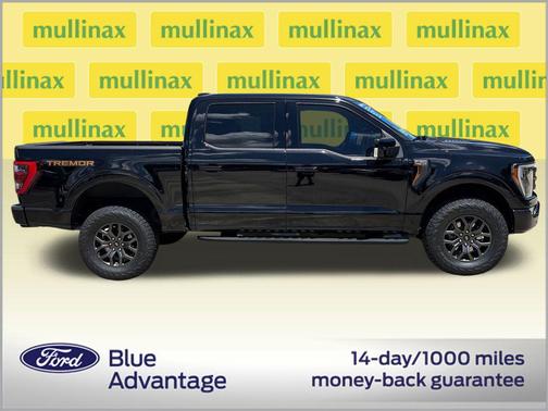 Agate Black Metallic 2023 Ford F-150 Tremor