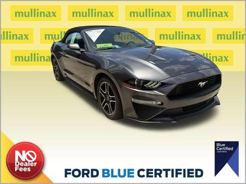 Magnetic Metallic 2019 Ford Mustang EcoBoost Premium