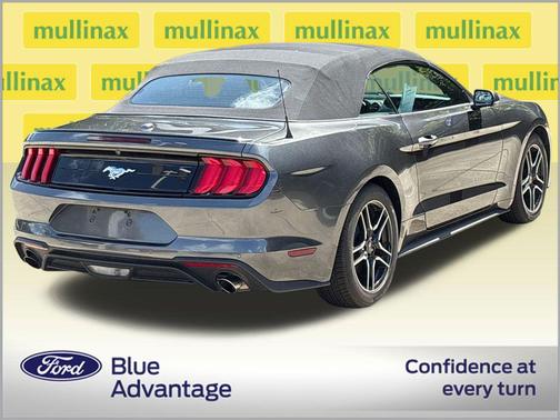 Magnetic Metallic 2019 Ford Mustang EcoBoost Premium
