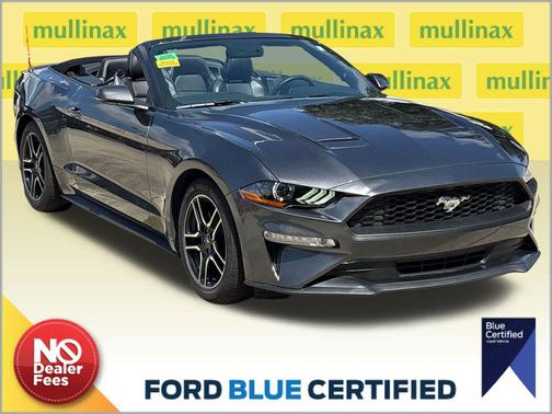 Magnetic Metallic 2019 Ford Mustang EcoBoost Premium