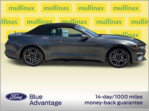 Magnetic Metallic 2019 Ford Mustang EcoBoost Premium