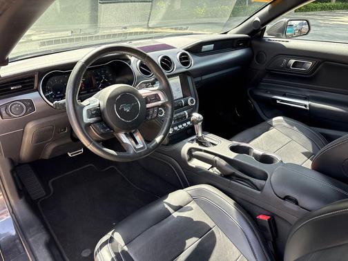 Magnetic Metallic 2019 Ford Mustang EcoBoost Premium
