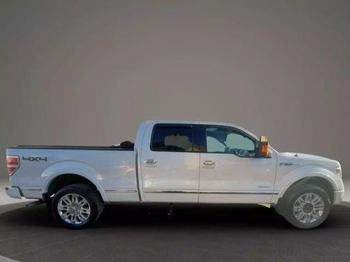 2013 Ford F-150 Platinum