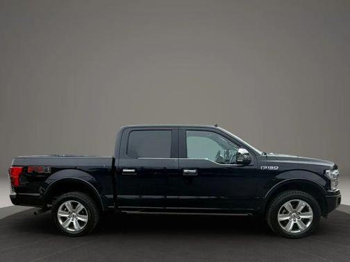 Black 2019 Ford F-150 Platinum