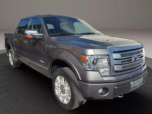 2013 Ford F-150 Platinum