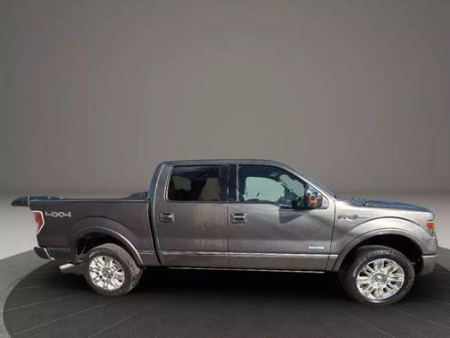 2013 Ford F-150 Platinum