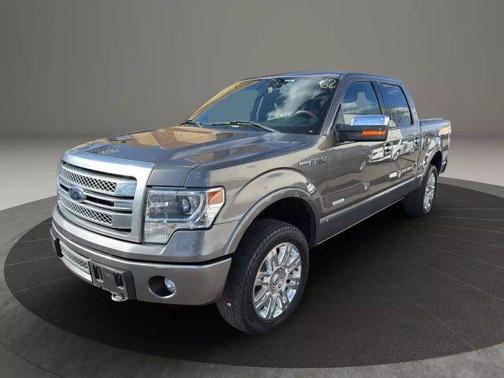 2013 Ford F-150 Platinum