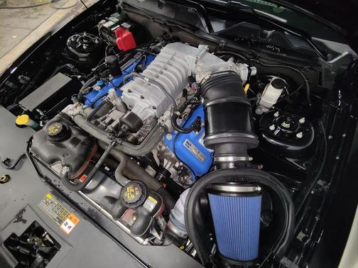 2011 Ford Shelby GT500 Base