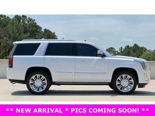2019 Cadillac Escalade Platinum