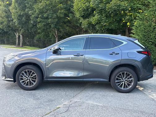 Cloudburst Gray 2024 Lexus NX 350 Premium