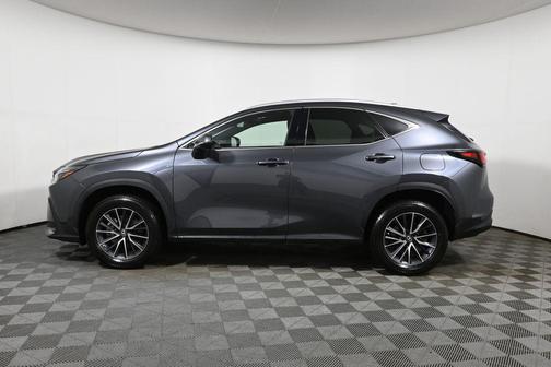 Cloudburst Gray 2024 Lexus NX 350 Premium