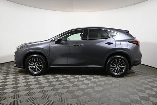 Cloudburst Gray 2022 Lexus NX 350 Premium
