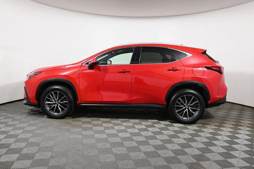 Redline 2023 Lexus NX 350 Premium