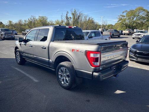 2021 Ford F-150 Platinum