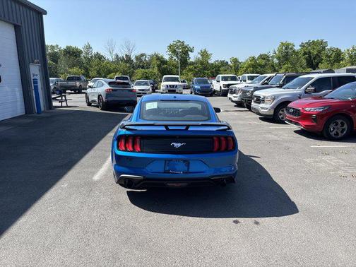 2019 Ford Mustang EcoBoost