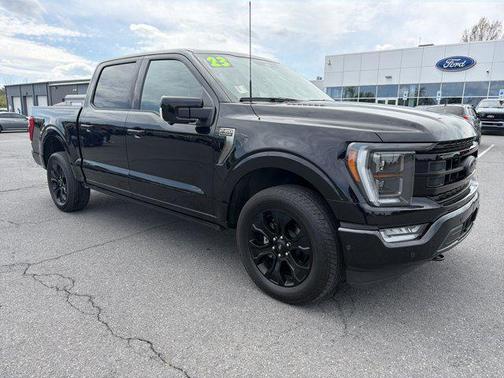 Agate Black Metallic 2023 Ford F-150 Platinum