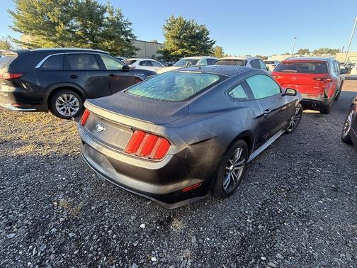 Magnetic Metallic 2015 Ford Mustang EcoBoost Premium