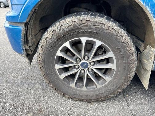 Velocity Blue Metallic 2019 Ford F-150 XLT