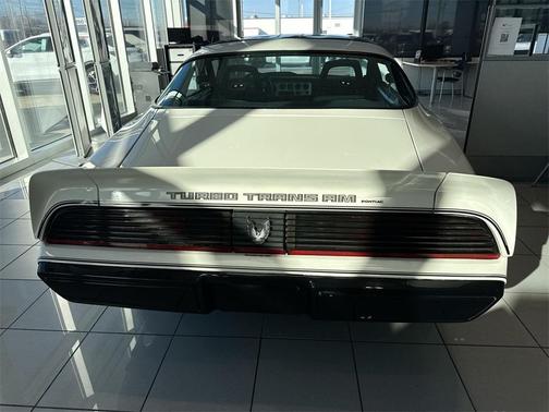 1981 Pontiac Firebird Trans Am