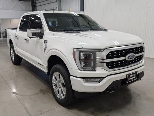 2021 Ford F-150 PLATINUM