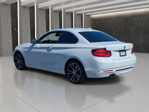 Alpine White 2020 BMW 230 230i
