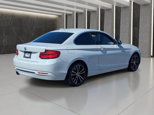Alpine White 2020 BMW 230 230i