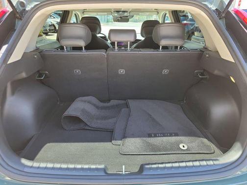 Cityscape Green 2024 Kia Niro EX