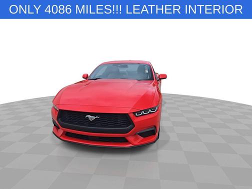RACE RED 2024 Ford Mustang EcoBoost Premium